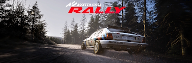 AssettoCorsaRally_Banner.jpg