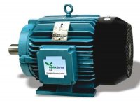 Crompton Greaves Apex Motor.JPG