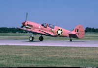 pink p40 2.jpg