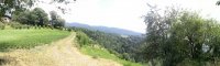IMG_20180702_152414.jpg